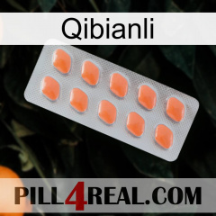 Qibianli 26